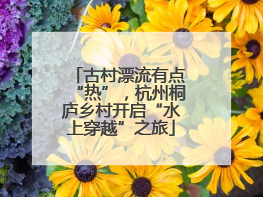古村漂流有点“热”，杭州桐庐乡村开启“水上穿越”之旅